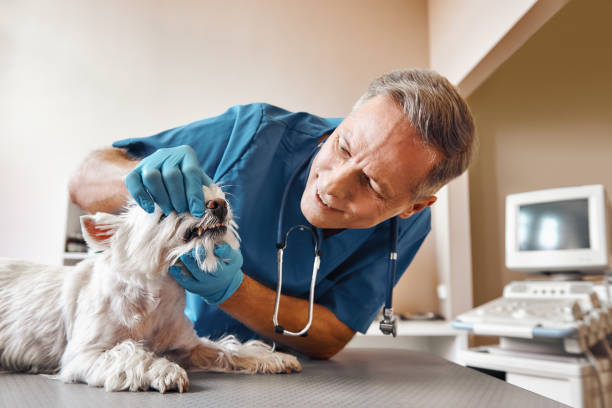 Best Knocked-Out Tooth Emergency  in Fredericktown, OH